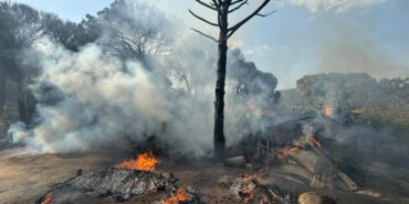 bergama-orman-yangini-son-dakika