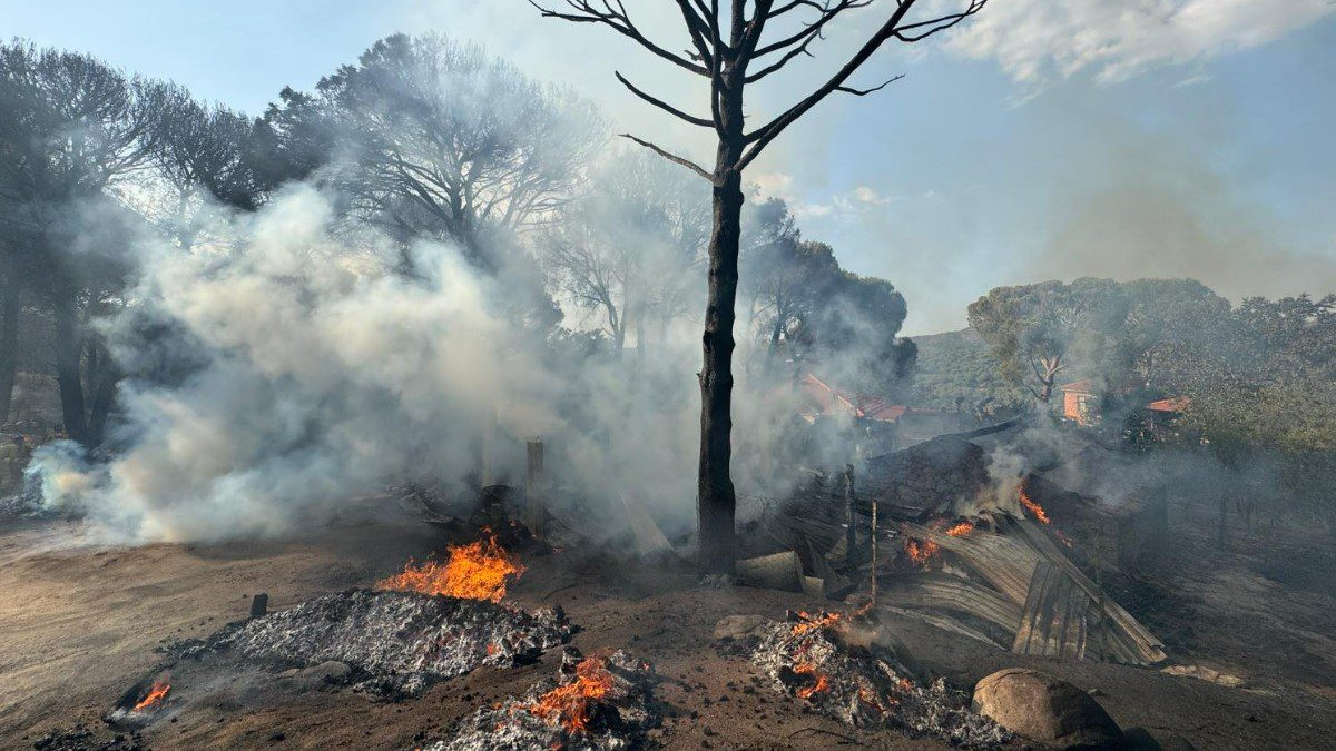 bergama-orman-yangini-son-dakika