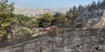 buca-orman-yangini-son-dakika-kontrol-altina-alindi