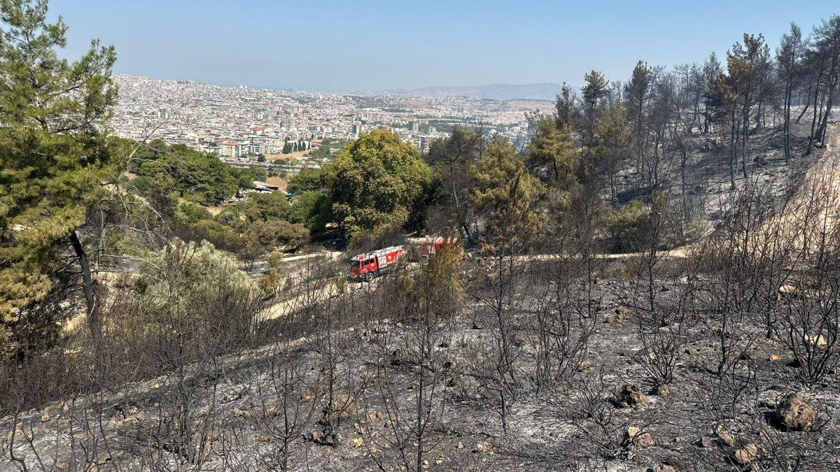 buca-orman-yangini-son-dakika-kontrol-altina-alindi