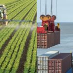 ege-ihracatci-birlikleri-izmir-ege-bolgesi-temmuz-ihracat-rakamlari