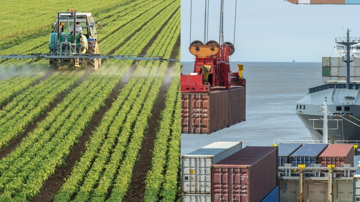 ege-ihracatci-birlikleri-izmir-ege-bolgesi-temmuz-ihracat-rakamlari