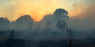 izmir-aliaga-karaburun-urla-bergama-orman-yangini-ot-yangini