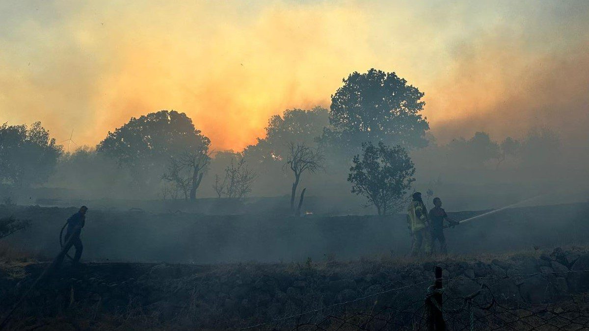 izmir-aliaga-karaburun-urla-bergama-orman-yangini-ot-yangini