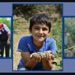 izmir-blueberry-hasadi-odemis-bozdag