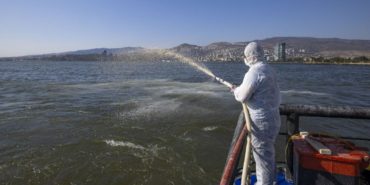 izmir-korfezi-modifiye-kil-uygulamasi-bayrakli