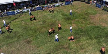 izmir-odemis-golcuk-yaylasi-yagli-guresleri-2025