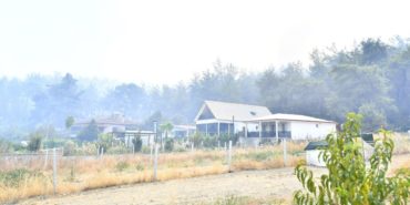 menderes-orman-yangini-son-dakika