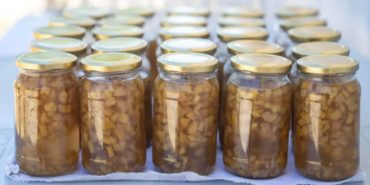 bornova-recel-festivali-yakakoy-eylul