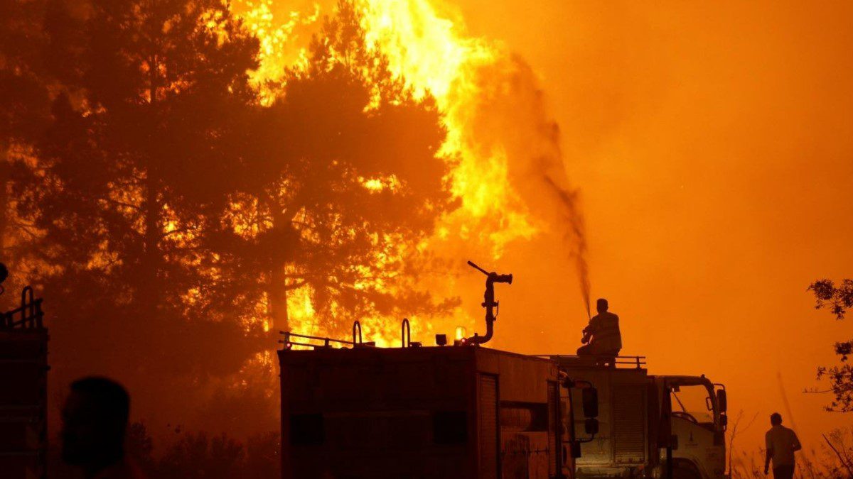 İzmir’de 8 ayda 28 bin hektarlık alan yandı 10 milyar TL zarar oluştu.