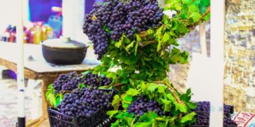 Karabağlar Kavacık Köyü Üzüm Festivali 2025’te Alphonse Lavallee üzümü.