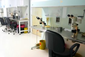 Kıbrıs Tüp Bebek: Modern Yaklaşımlar ile Güven Veren Bir Süreç