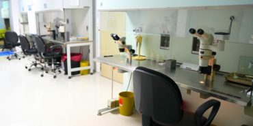 Kıbrıs Tüp Bebek: Modern Yaklaşımlar ile Güven Veren Bir Süreç