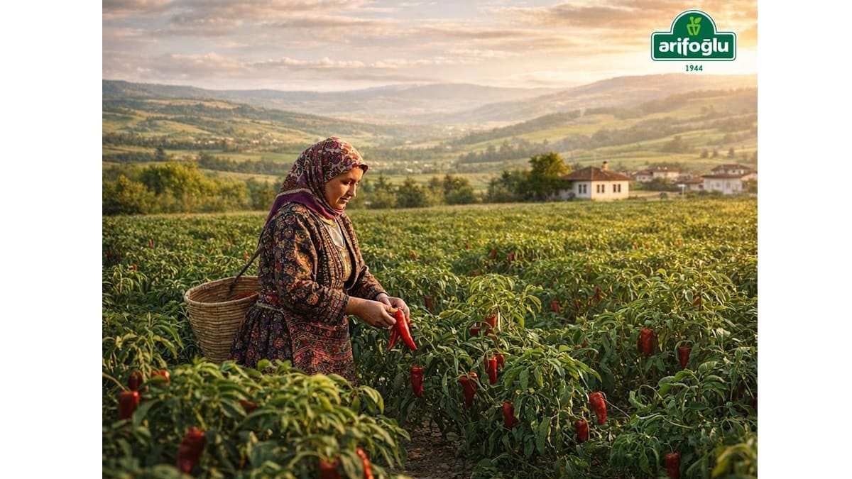 Arifoğlu markasının tarihi