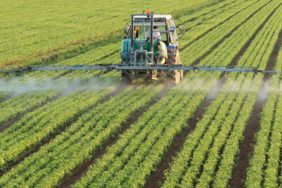 İzmir ve Ege Bölgesi tarım ürünleri ihracatı rakamı: 7,5 milyar dolar