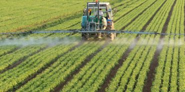 İzmir ve Ege Bölgesi tarım ürünleri ihracatı rakamı: 7,5 milyar dolar