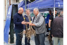 Beydağlı Üreticiye Çifte Destek