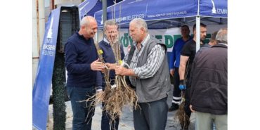 Beydağlı Üreticiye Çifte Destek