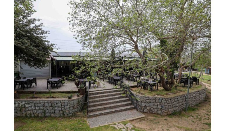 Buca’nın Saklı Güzelliği: Dere Kafe