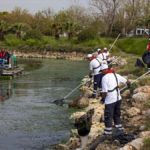Çakalburnu Lagünü’nden Körfez’e Yayılan Yosunlara Yoğun Müdahale