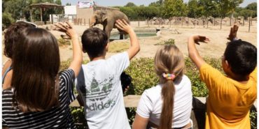 Doğal Yaşam Parkı Öğrencilere Ücretsiz Olacak