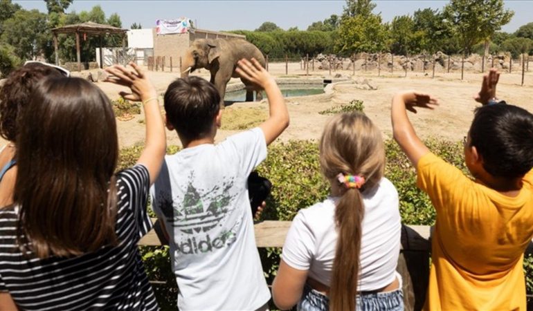 Doğal Yaşam Parkı Öğrencilere Ücretsiz Olacak