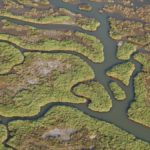 Gediz Havzası’nda Kirlilik Artıyor