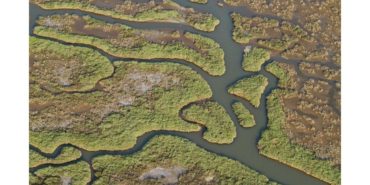 Gediz Havzası’nda Kirlilik Artıyor