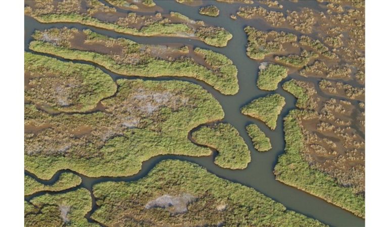 Gediz Havzası’nda Kirlilik Artıyor