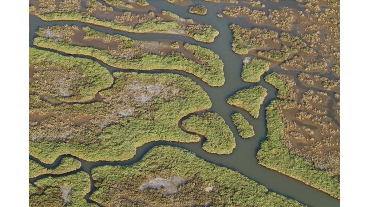 Gediz Havzası’nda Kirlilik Artıyor