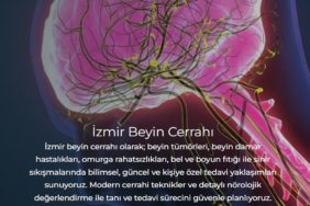 En İyi İzmir Beyin Cerrahı Seçimi Nasıl Olmalı ve Nelere Dikkat Edilmeli