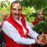 Kiraz Hasreti bu Sene Bitiyor