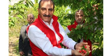 Kiraz Hasreti bu Sene Bitiyor