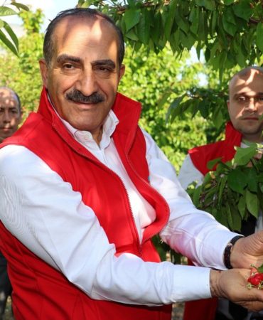 Kiraz Hasreti bu Sene Bitiyor