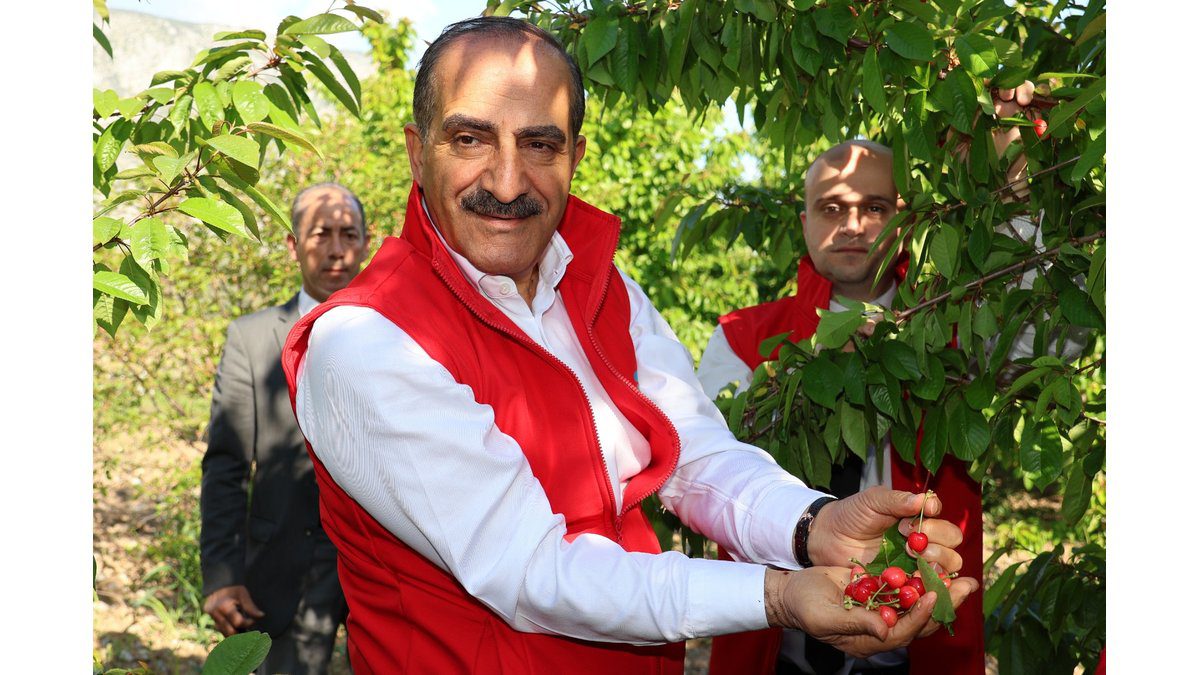 Kiraz Hasreti bu Sene Bitiyor