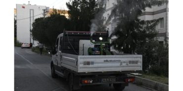 Sivrisinek ve Haşerelere Karşı Etkin Önlem