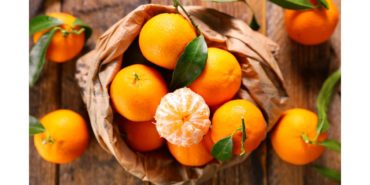 Yaş Meyve Sebze İhracatında İlk Çeyrekte 1 Milyar Dolar Aşıldı