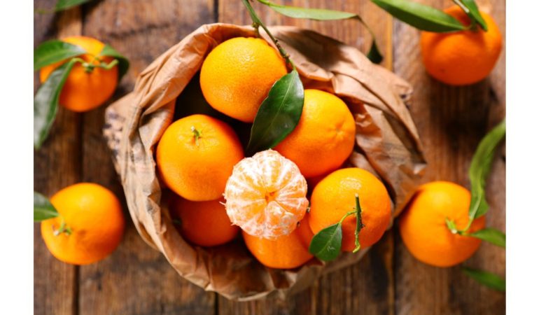 Yaş Meyve Sebze İhracatında İlk Çeyrekte 1 Milyar Dolar Aşıldı