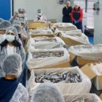 Yeni Nesil Balıkçı Çocuklar Projesi: Geleceğin Balıkçıları İzmir’de Yetişiyor