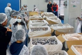 Yeni Nesil Balıkçı Çocuklar Projesi: Geleceğin Balıkçıları İzmir’de Yetişiyor