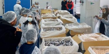 Yeni Nesil Balıkçı Çocuklar Projesi: Geleceğin Balıkçıları İzmir’de Yetişiyor