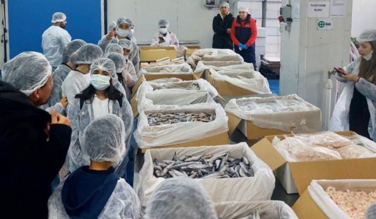 Yeni Nesil Balıkçı Çocuklar Projesi: Geleceğin Balıkçıları İzmir’de Yetişiyor