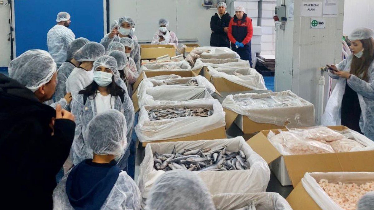 Yeni Nesil Balıkçı Çocuklar Projesi: Geleceğin Balıkçıları İzmir’de Yetişiyor