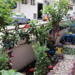 Karşıyaka’nın En Güzel Balkon Ve Bahçeleri Seçiliyor!