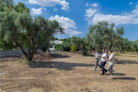 Aliberti Köşkü Kent Parkına Dönüşüyor