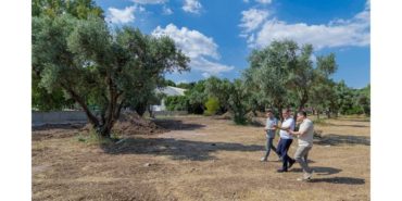 Aliberti Köşkü Kent Parkına Dönüşüyor