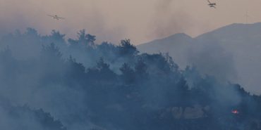 İzmir Dikili Çandarlı Yaylayurt Orman Yangını Son Dakika