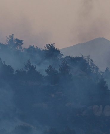 İzmir Dikili Çandarlı Yaylayurt Orman Yangını Son Dakika