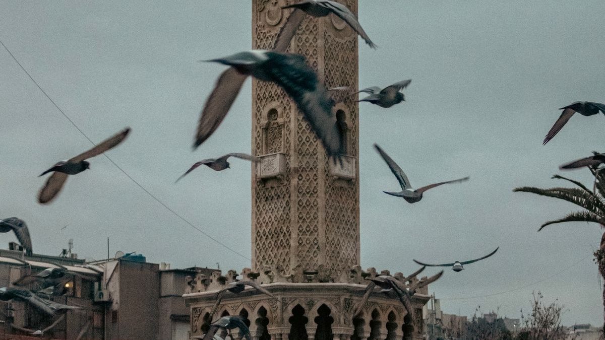 İzmir Psikolog Seçerken Dikkat Edilmesi Gerekenler