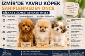 İzmir’de Yavru Köpek Sahiplenmeden Önce Dikkat Edilmesi Gereken 10 Şey
